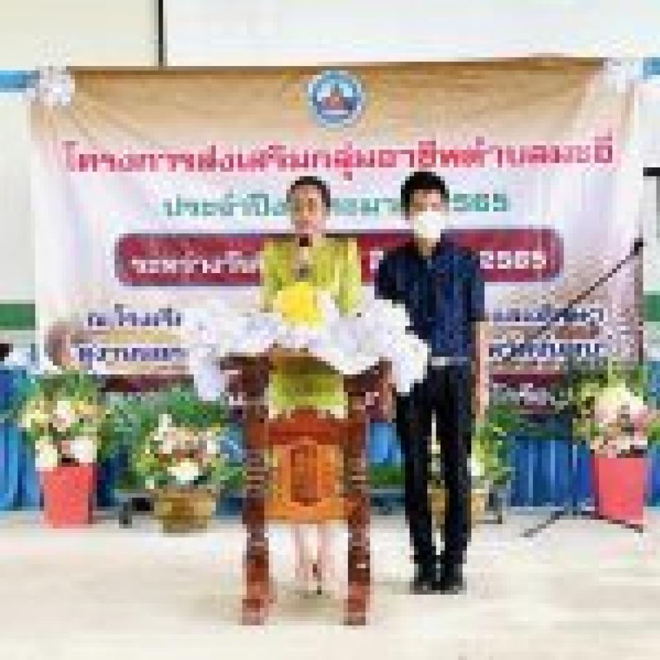 โครงการส่งเสริมกลุ่มอาชีพตำบลมะอึ